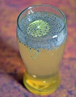 Nannari Sarbath